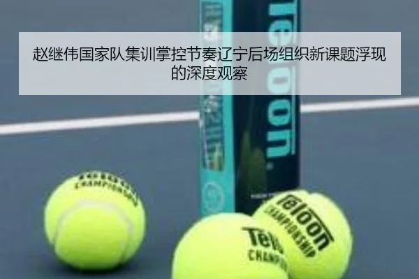 赵继伟国家队集训掌控节奏辽宁后场组织新课题浮现的深度观察